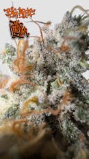 Kolektor | Big Apple | Flower | Hybrid | 3.5g