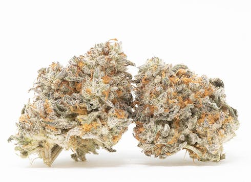 Triangle Kush