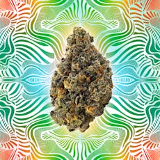 GDF: Flower | Goofiez Squared | 3.5g