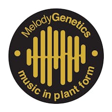 Melody Genetics - Flower 3.5g Hybrid; Guava Cake