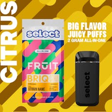 Select - FRUIT BRIQ - Lemon Sunset - 2g
