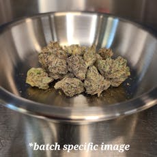 Coastal Healing | Gorilla Punch | Deli Style