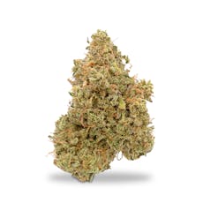 High Noon Cult - Fresh Powder