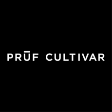 Pruf Cultivar - Velvet Rain (S)