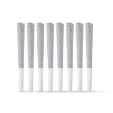 Focus North - Cadillac Rainbows Pre-Roll 8pk - 4g