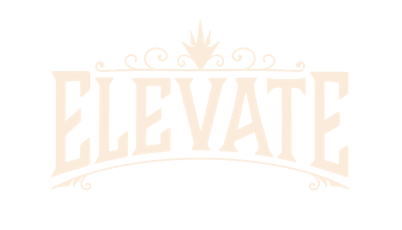 Elevate: Pre-Roll Pack | Pineapple Planet | Elevate Pins | 0.5g ea | 10pk