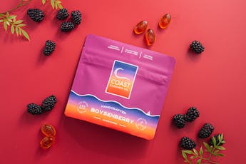 1:4:1 Boysenberry CBC Gummies | TAX INCLUDED
