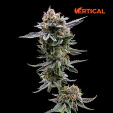 VERTICAL - BLUE ANDEZE 7G I/S