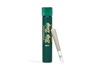 Dogwalkers Pre-Roll 1pk/1g Big Dog- Runtz