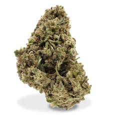 Williams Wonder - Pineapple