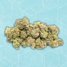 14g Garlic Breath | Shake N' Smalls | TAX INCLUDED