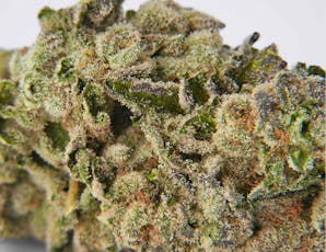 Sunny Z | Flower (0.7g)