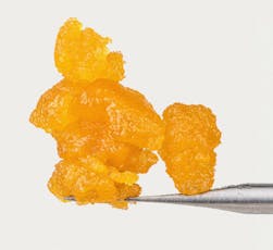 Raw Garden Live Resin 1g I Banana CreamOG