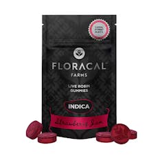 Floracal Gummies 10pk (100mg) Strawberry Jam