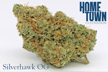 Hometown Cultivation - SilverHawk OG - Cannabis Flower
