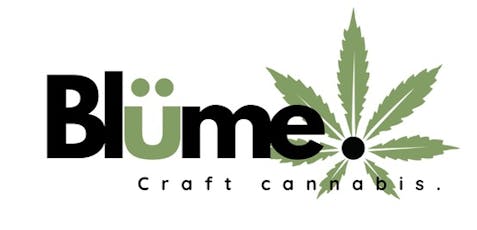 Sugar Puss | 3.5 grams