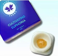 Live Hash Rosin - Cherry Whip - 1g
