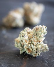 Gorilla Sherb 7 grams