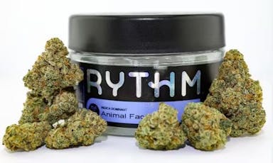 RYTHM | ANIMAL FACE | 3.5G