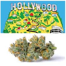 Hollywood | 3.5g Flower | Cookies