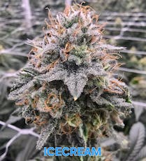 DAKIND - $20 Top Shelf Eighth - Blueberry 80% I