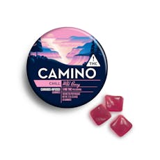 Kiva Camino | Wild Berry Gummies 20pk 100mg