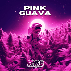 Cake | AIO 1.25g | S | Pink Guava
