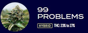 99 Problems - Bulk