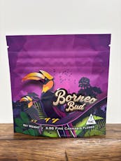 Borneo - Blue Blockers (3.5g)