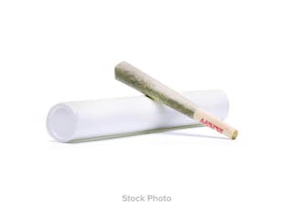 Terpene Alchemy | Ghost Train Haze | 1g Preroll | Sativa