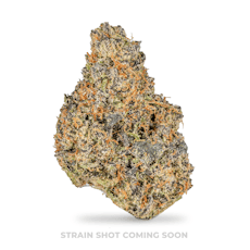 Nugz - Garlic Cocktail