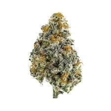 Miracle Alien Cookies