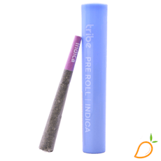 1g Donutz Triploid Preroll Tribe