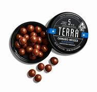 Kiva Terra Dark Chocolate Blueberries