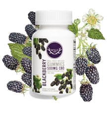 WYLD Gummies HEMP 20pk - Blackberry
