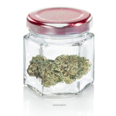 3.5g | Canal Street Runtz