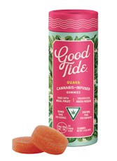 Good Tide Edibles 10pk/100mg- Guava