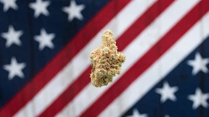 AMERICAN GROWN | GRAPAYA | INDICA | INFUSED PRE-ROLL | 1.25G | REC