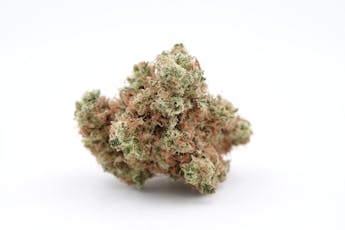 White Truffle - State3 (IH)