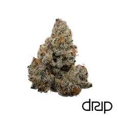 (DRIP) Top-Shelf small bud 1/2oz (Animal Mints)