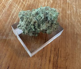 Alter Farms - DHARMA DRIP (i) - Tier 1 $70/oz