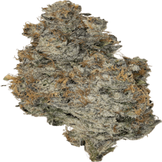 wee-de Prepack (1/4 oz) Whiplash