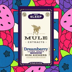 Dreamberry | 100mg 10-Piece | 1:2 THC:CBN Mini Kickers
