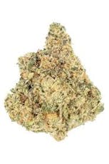 Green | Gelato Runtz 28g