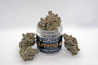 SUMMA - Flower - Glitter Bomb (H) (3.5g)