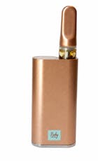 Ruby Farms | Vape | Sativa | Sour Diesel | Starter Kit | No Distillate | Terpene Rich | Caviar Nectar | 1g