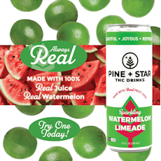 Watermelon Limeade | Sparkling THC Drink | Pine + Star | 5mg