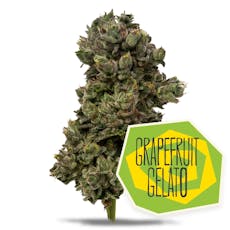 Value | Grapefruit Gelato | District Cannabis | 3.5g