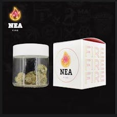 Canal Street Runtz | 3.5g