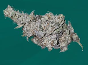 GNG | Candy Pave | Flower - 3.5g